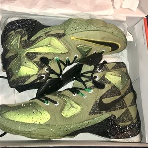 Lebron 13s